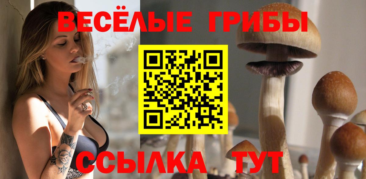 Псилоцибиновые грибы Psilocybine cubensis Нефтекумск