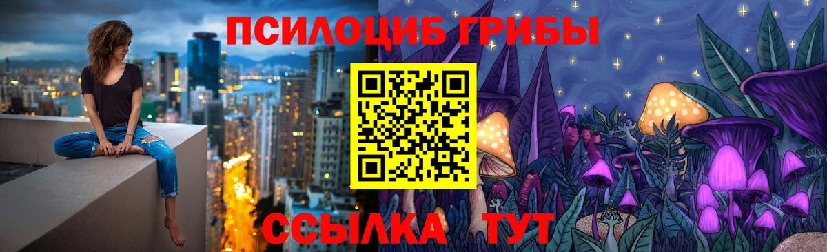 Галлюциногенные грибы Psilocybine cubensis  Вход с VPN  Нефтекумск 